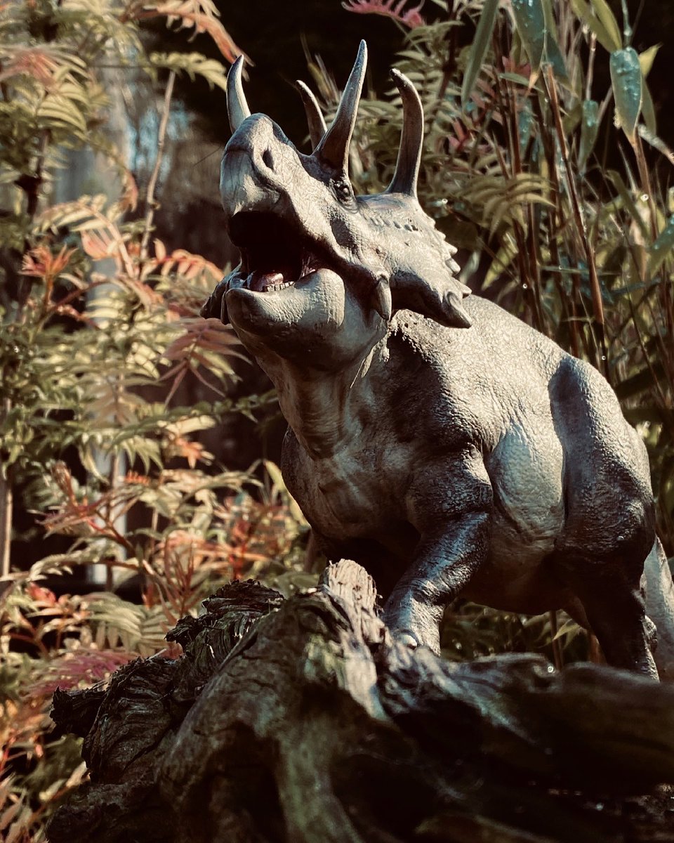 SouthernGFX's tweet photo. Photo shoot day. Taking my #Machairoceratops into the wilds to snap some shots in good, natural lighting.
-
#ZBrush sculpt using the new #xencelabs tablet. Printed on a #peopoly #phenom 3DPrinter and airbrushed with #vallejo
Inspired by @GurneyJourney @pnso and @Everything_Dino https://t.co/1U7i48nBuA