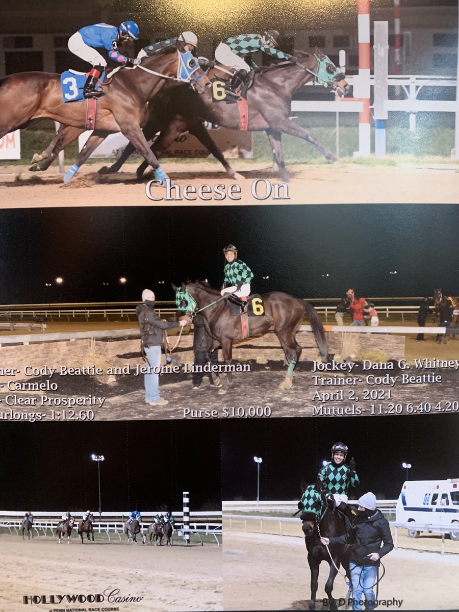 CCBRacingStable's tweet photo. #cheeseOn #PARacing #BeattieBarn https://t.co/oRQ3P9eORY