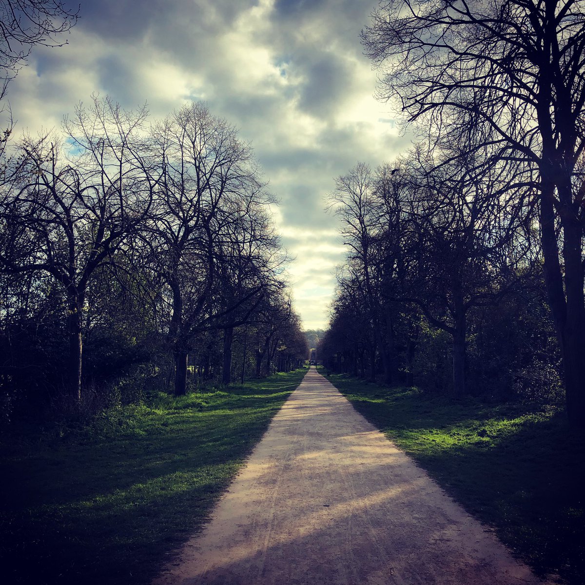 InZenGarden's tweet photo. Morning vibes.

#crispymorning #outdoors #nature #breathe https://t.co/IRNowzUvYR