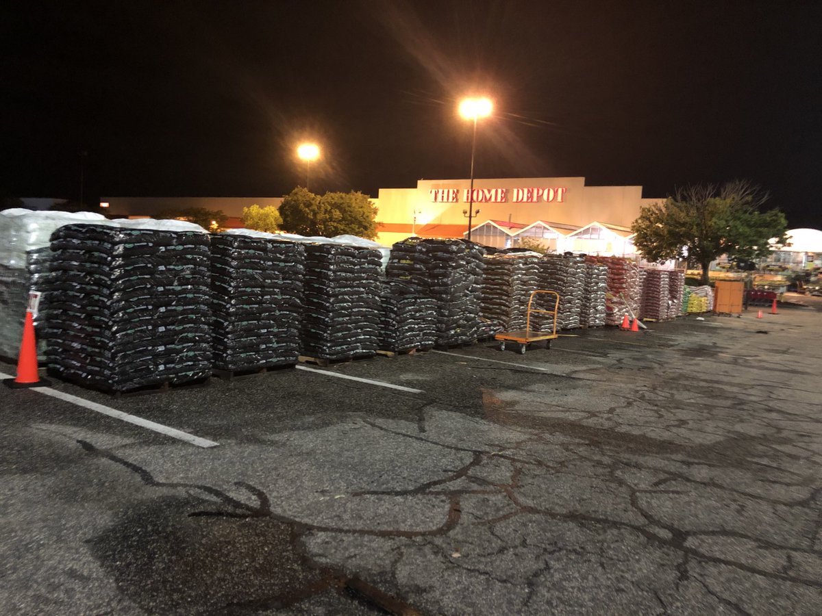 Shaina M-Collins tweet media