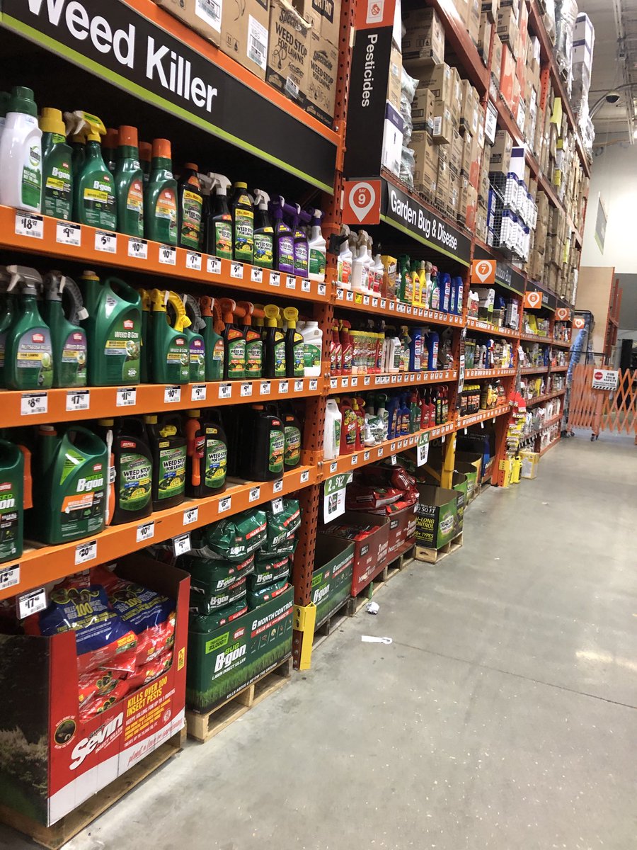 Shaina M-Collins tweet media