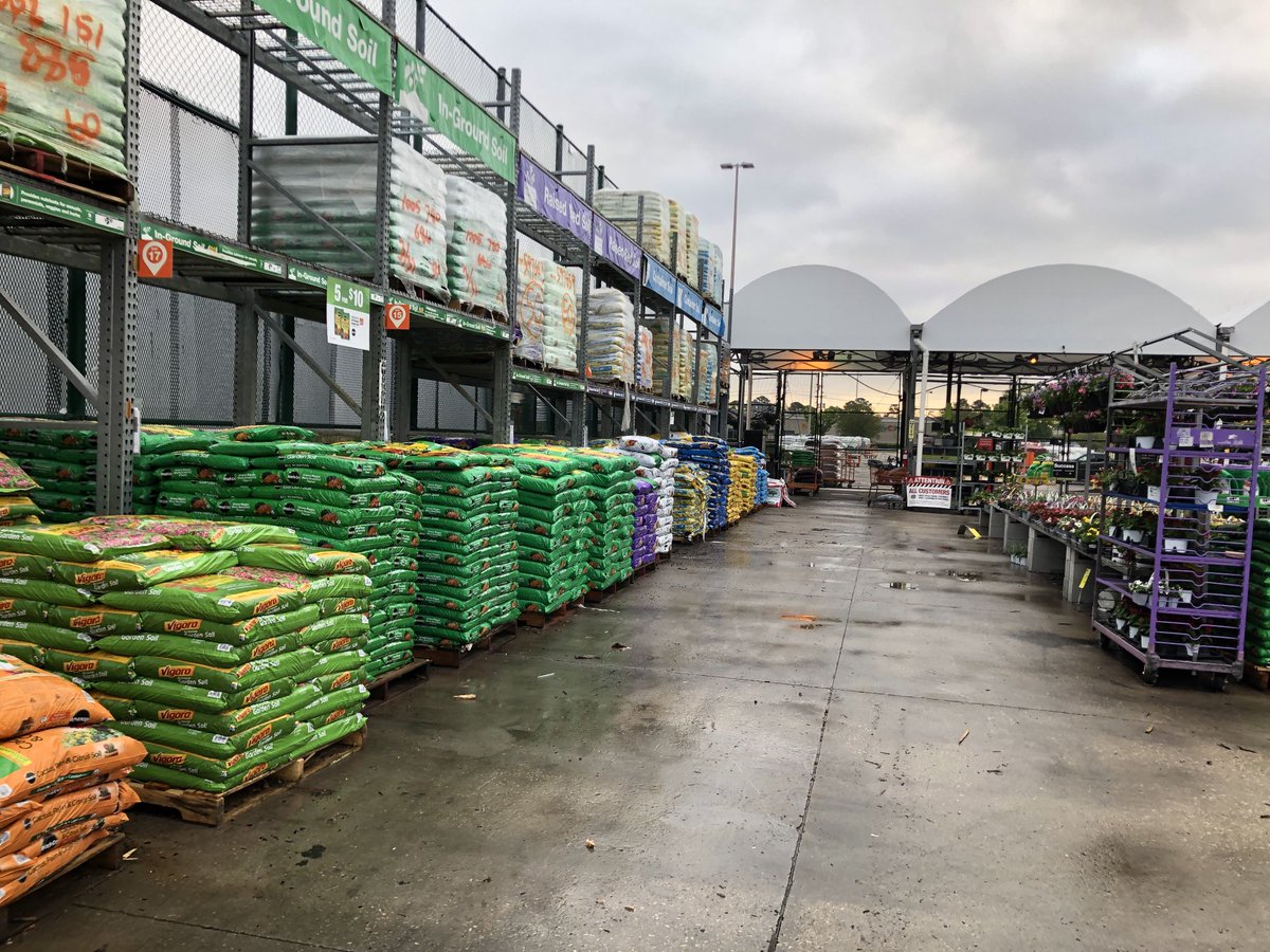 Shaina M-Collins tweet media