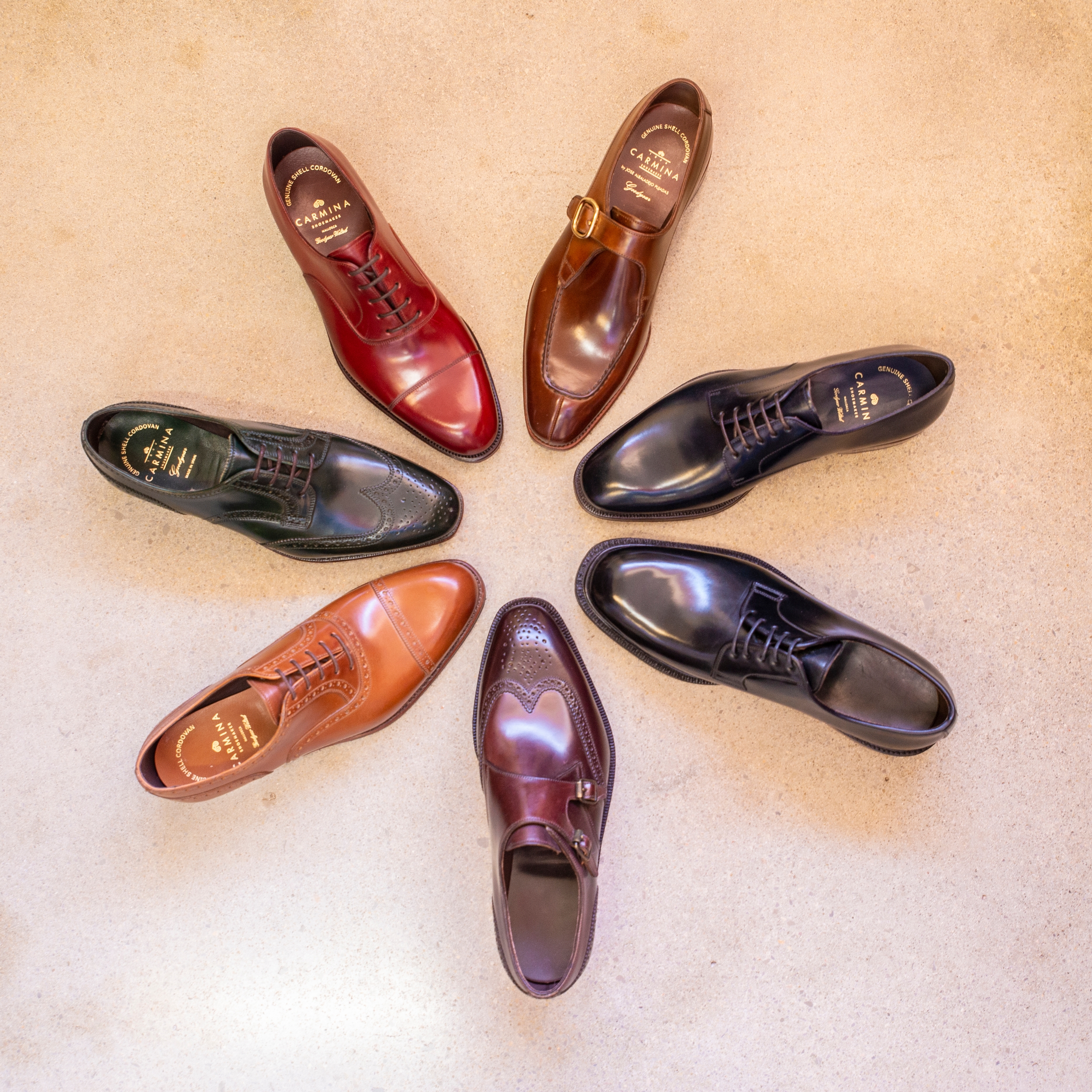 Carmina Shoemaker on X