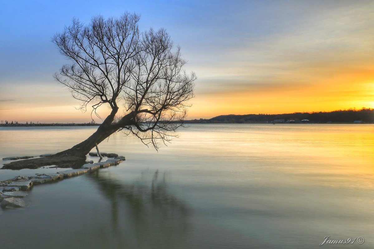 jamus91's tweet photo. Day break at the Summerfolk tree, Owen Sound.
@OSTourism #sunrise https://t.co/jF3wG5oqcp