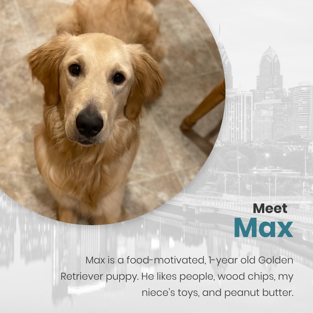 Results Repeat tweet media