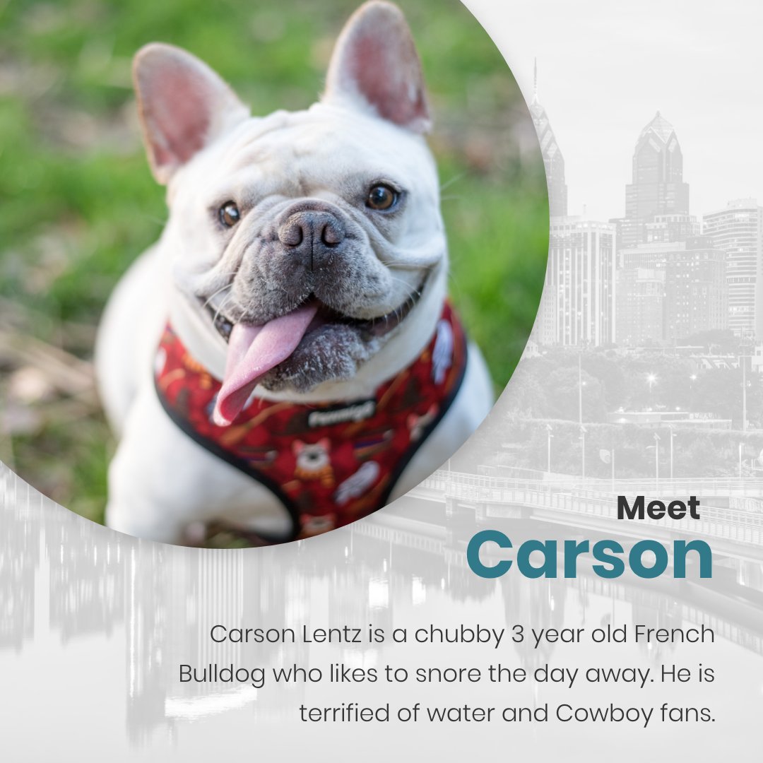 Results Repeat tweet media