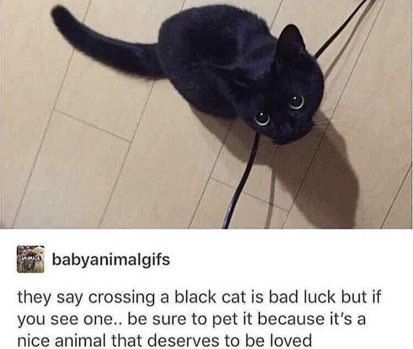 WholesomeMemes tweet media