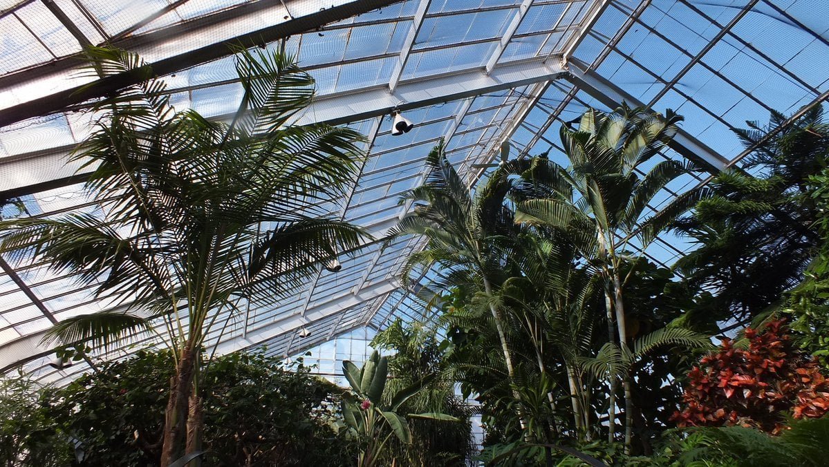 friendsTBcon's tweet photo. #ThunderBay's Botanical Conservatory was built over 50 yrs ago on the sheltered, fertile land of Chapples Park. 
The Park's Master Plan describes the area as “a city-wide destination for year round recreation, wellness, and open space.” 
#TBay #health #Wellbeing #QualityOfLife https://t.co/wuo3vpssLu