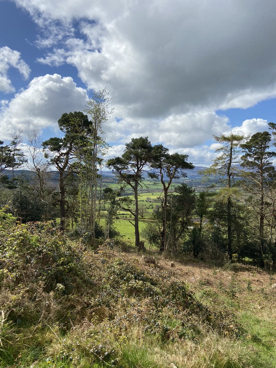 elainemkbutler's tweet image. Completed #100daysofwalking today!!!   (I missed one along the way). Round 2 anyone? 😊Princess Polly was the best company &amp;amp; motivation, hail, rain, snow, wind or shine.