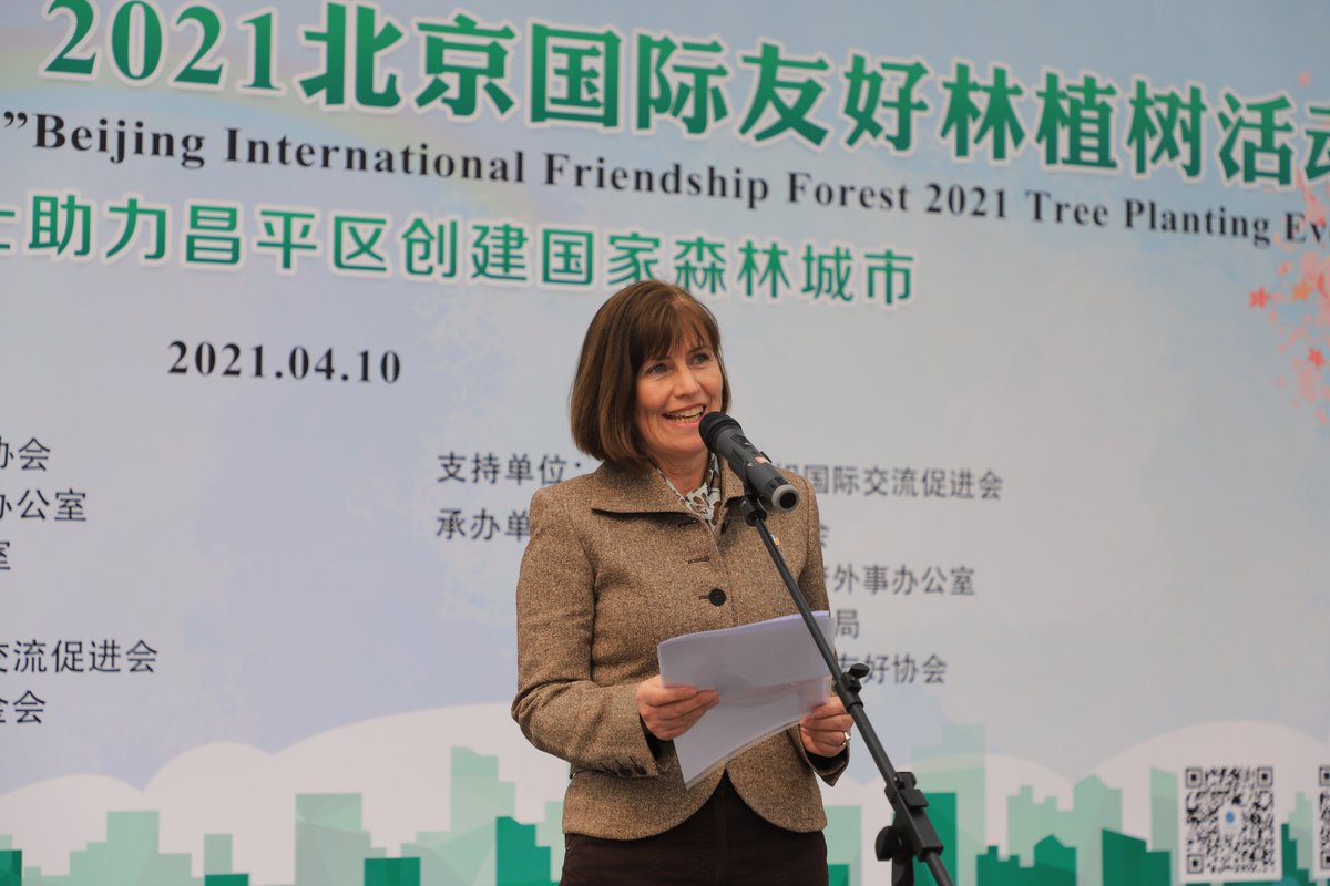 Embassy of Ireland, China tweet media