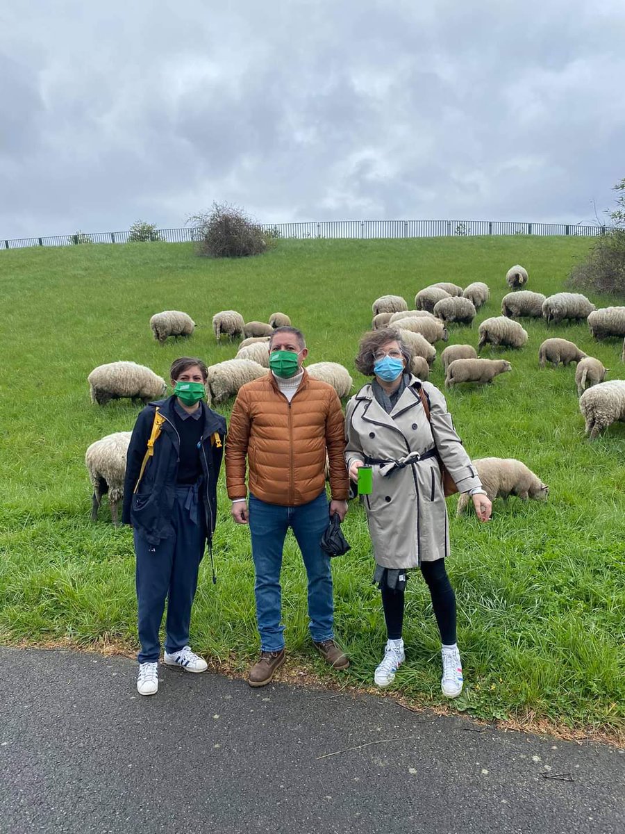 sorayahmechtouh's tweet photo. Nous étions https://t.co/nv0tX7koW4 ce matin avec @idf_ecologie SSD au parc Georges Valbon à l'appel de la #MNLE
🌿Les JOP ne doivent pas être une caution pour bétonner nos poumons verts
👉Le 93 doit rester aux mains de ses https://t.co/oWATmNmLjg et non des spéculateurs #IDF https://t.co/JxDLc7oTmH