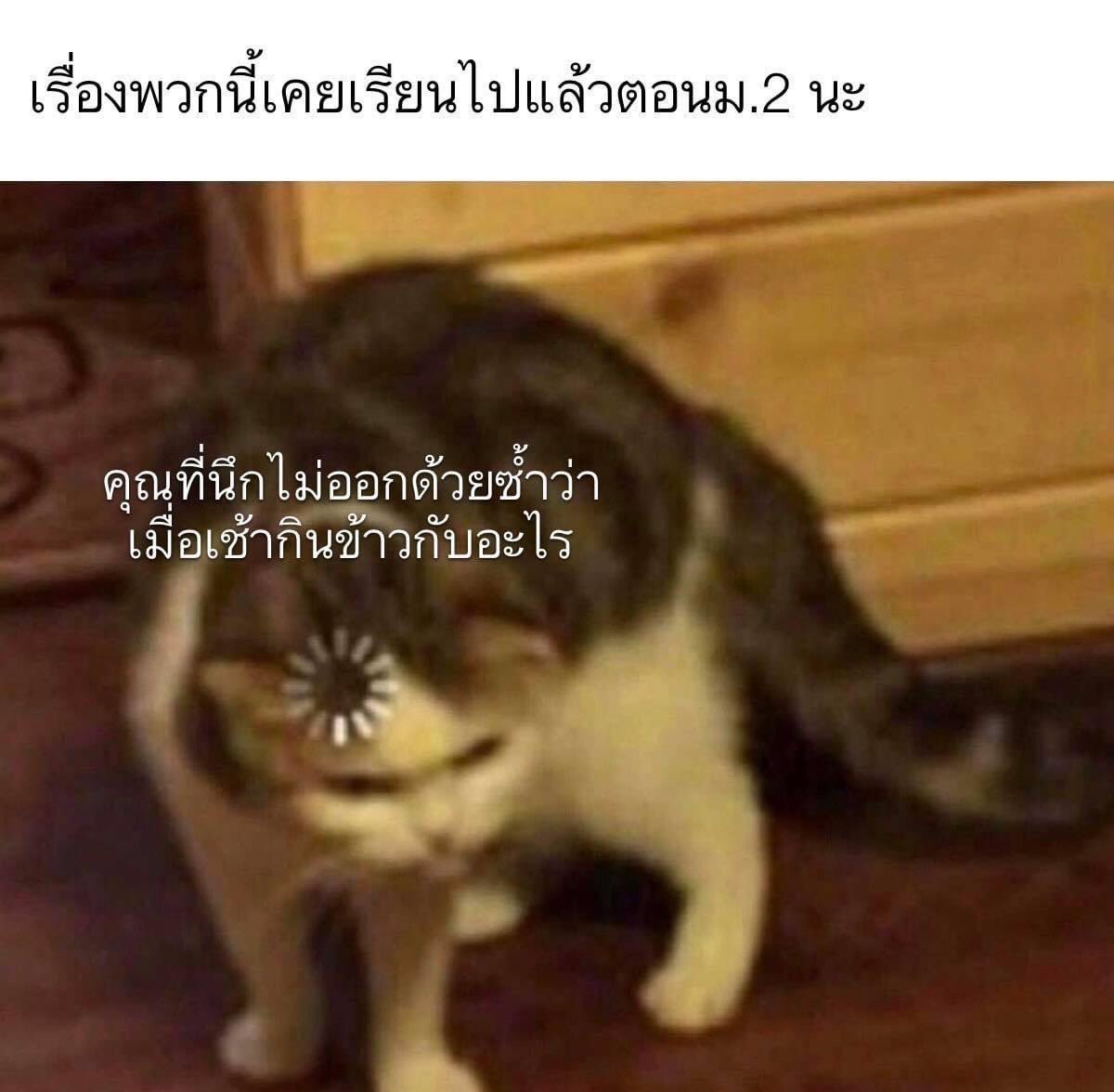 อีเหี้ย กุนั่งขำนานมาก นี่มันกุชัดๆเลย555555555555555555