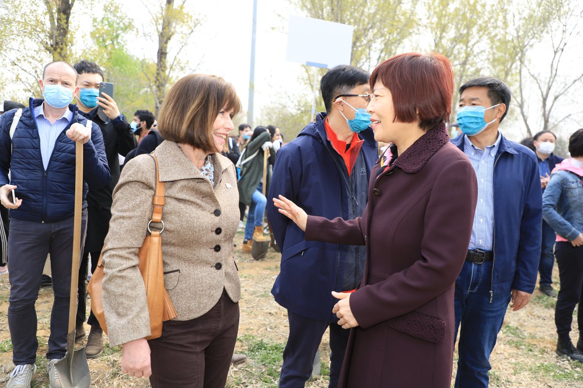Embassy of Ireland, China tweet media