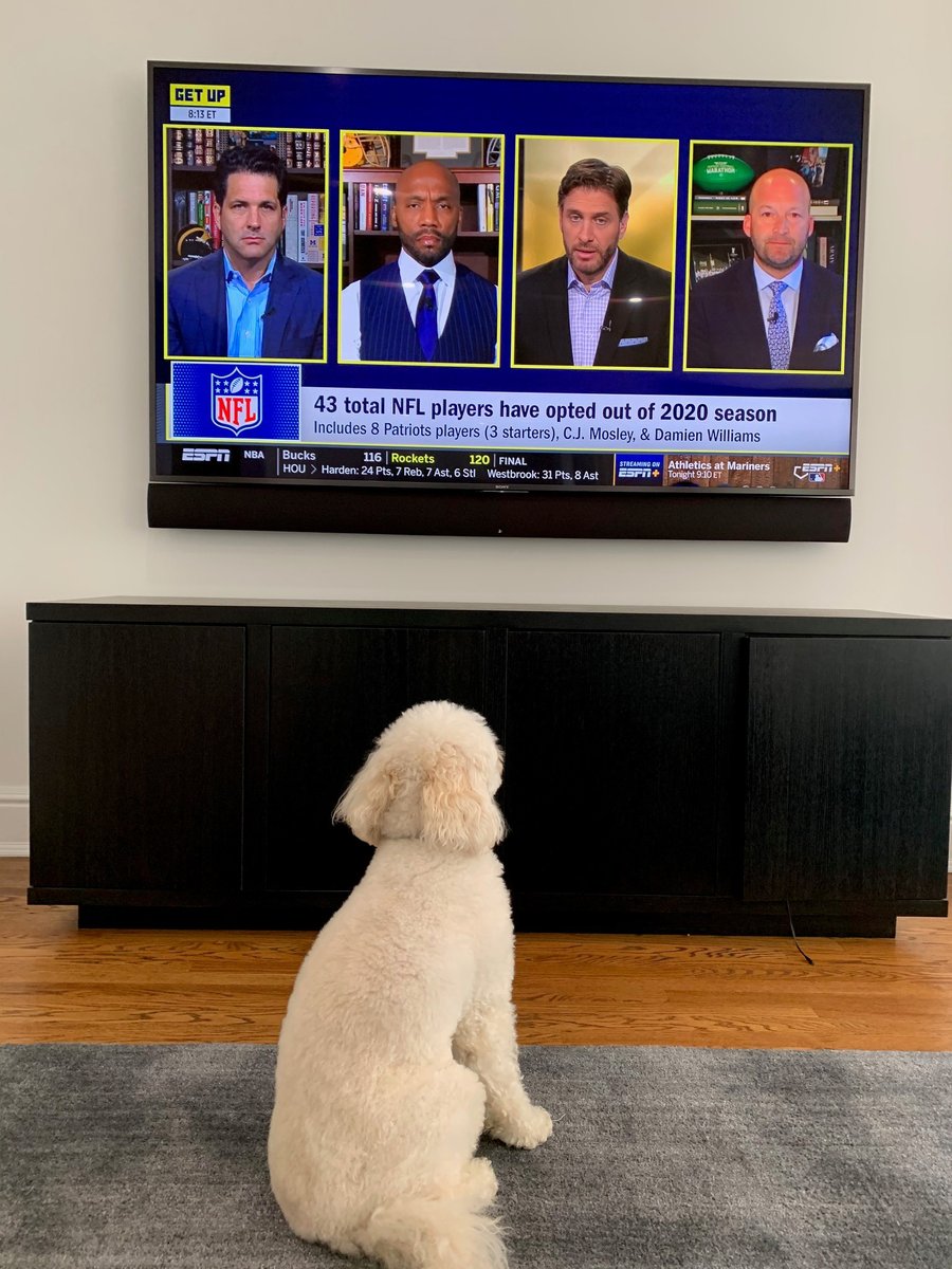 What better way to celebrate  #NationalPetDay than by sharing some of our favorite  #ESPNRadio pets?Add your  to this thread because there's no such thing as too many cute animal pictures.We'll start off with the , Phoebe Greenberg!