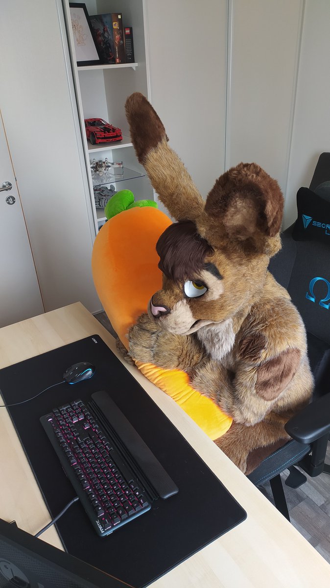 Toffi 🔜 NFC, AWOO? (@toffi_bunny) on Twitter photo 