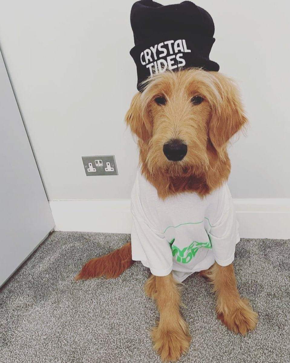crystaltidesuk's tweet photo. Keith has loves his merch and has pre-saved our next single, 
⏰Last Time⏰ 
Out on all platforms this Friday #BelikeKeith 

Link in bio https://t.co/lE1L8nrADe