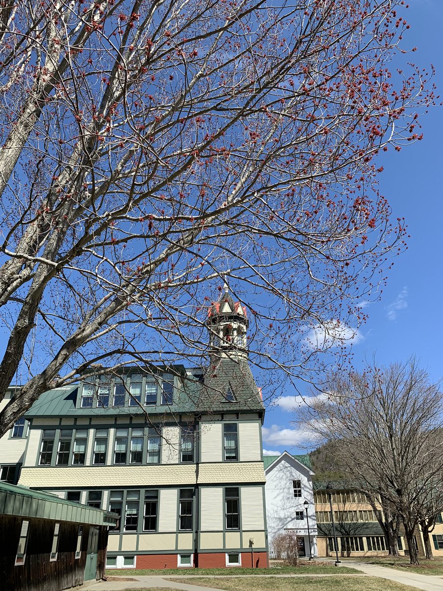 VTLawSchool's tweet image. There are buds on the trees! #VermontLife #VermontSpring