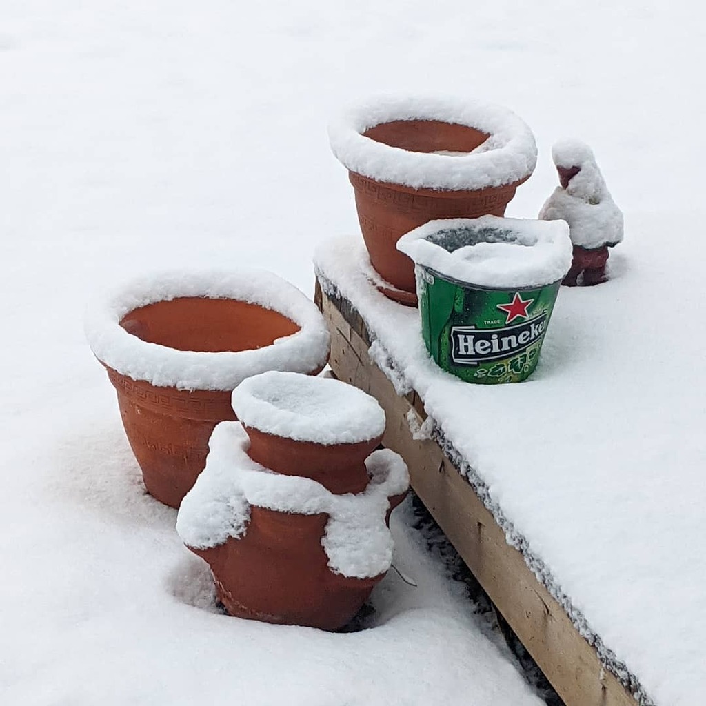 artsproul's tweet image. Can I call a #snowday #springhasnotsprung