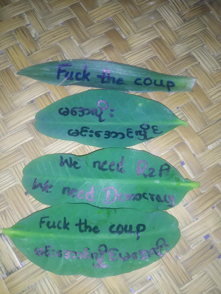 #GreenStrike💚🌱
#WhatIsHappeningInMyanmar
#CDM
#Fuckthecoup
#WeNeedR2PInMyanmar
