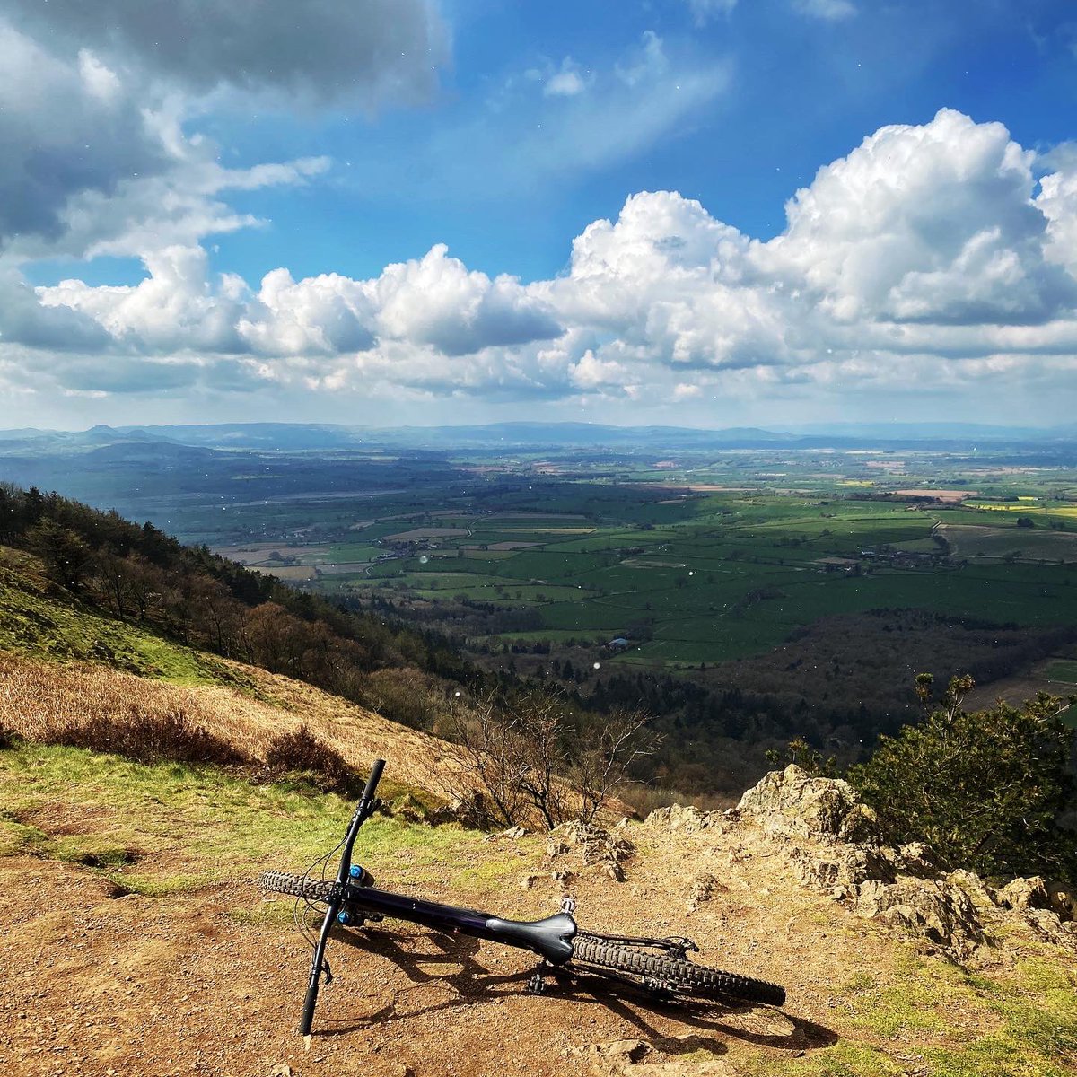 Ross Woodhall tweet media