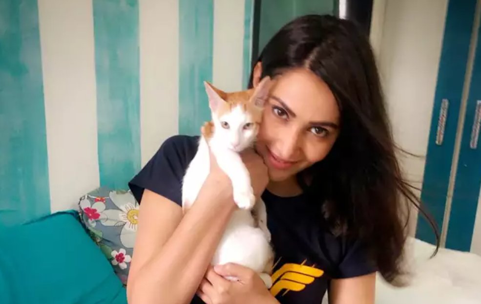 DelhiTimesTweet's tweet photo. #NationalPetDay : #TV celebs reveal the most unusual habit of their #pets

@IamEJF @saurabhraajjain @rishinakandhari @SanjayRGagnani 

Read: https://t.co/Du5jV5rbMr

#EricaFernandes #SourabhRaajJain #SumeetRaghavan #RishinaKandhari #SanjayGagnani #RaghavTiwari #SidharrthSipani https://t.co/tYvOeCGTn1