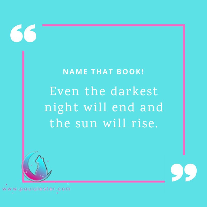 Name that book  and/or author!
