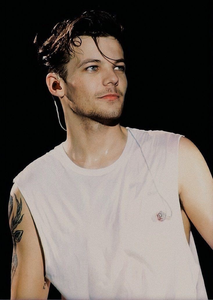 louis tomlinson in wet hair a devastating thread ;