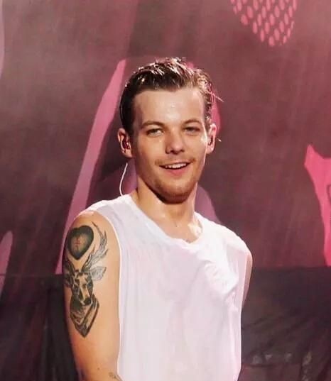 louis tomlinson in wet hair a devastating thread ;