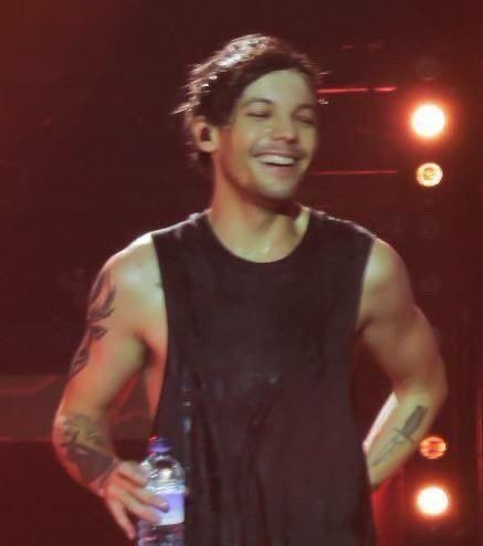 louis tomlinson in wet hair a devastating thread ;