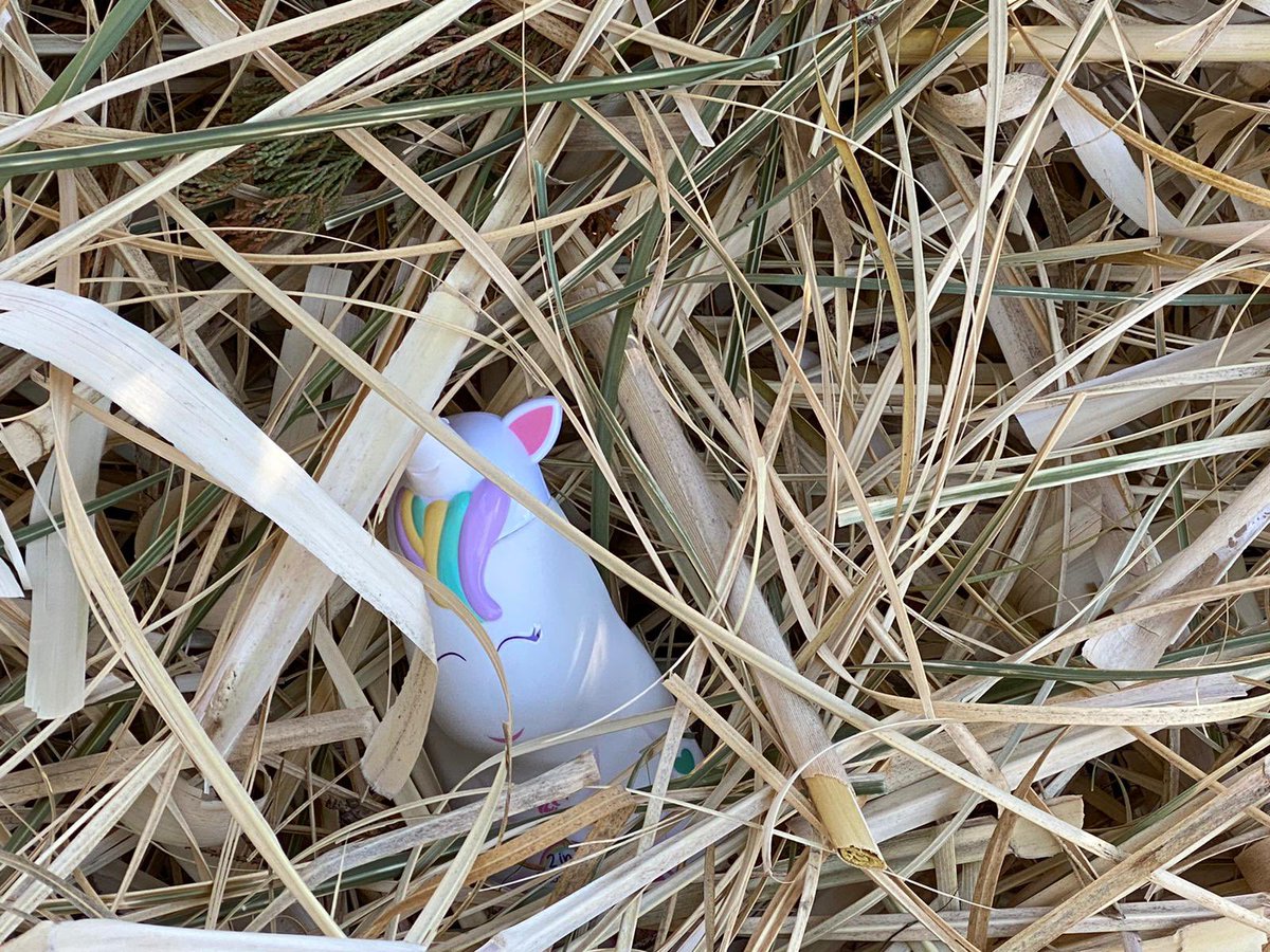 Swen Bethke tweet media