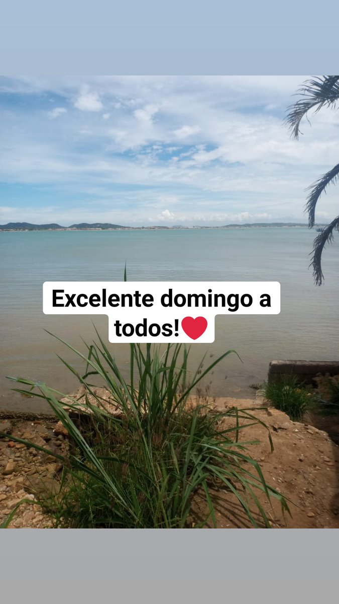 DcAntenada's tweet photo. Tenham um domingo maravilhoso! Bom dia!
#bomdomingo #domingo #domingou https://t.co/MRUzauWh2V