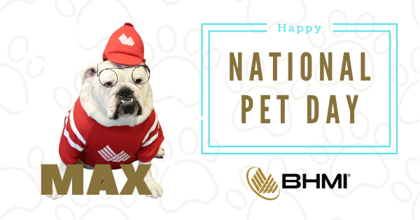 bhmisoftware's tweet photo. Have you met Max, BHMI’s mascot? He’ll be getting plenty of boops, belly rubs, and treats today. Happy National Pet Day! https://t.co/L4LwUiV0Mo