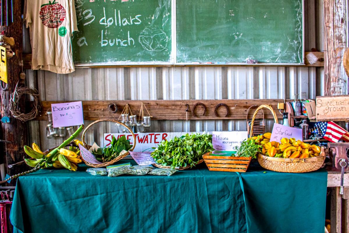 Have you seen our latest news? conta.cc/3237hFM