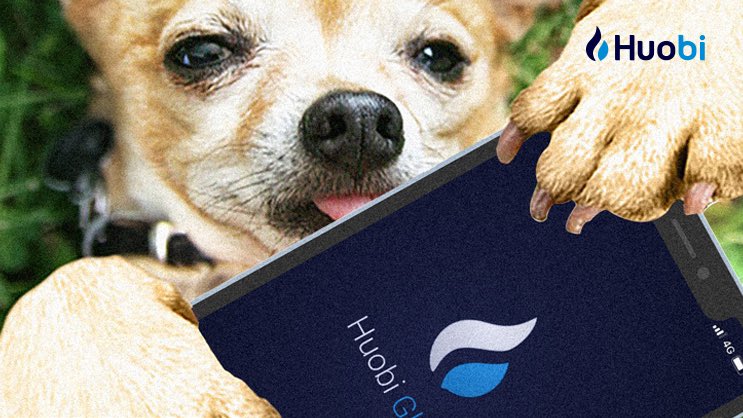 #NationalPetDay 🐕 

🤔 What’s he trying to tell me?

➡️Huobi.com