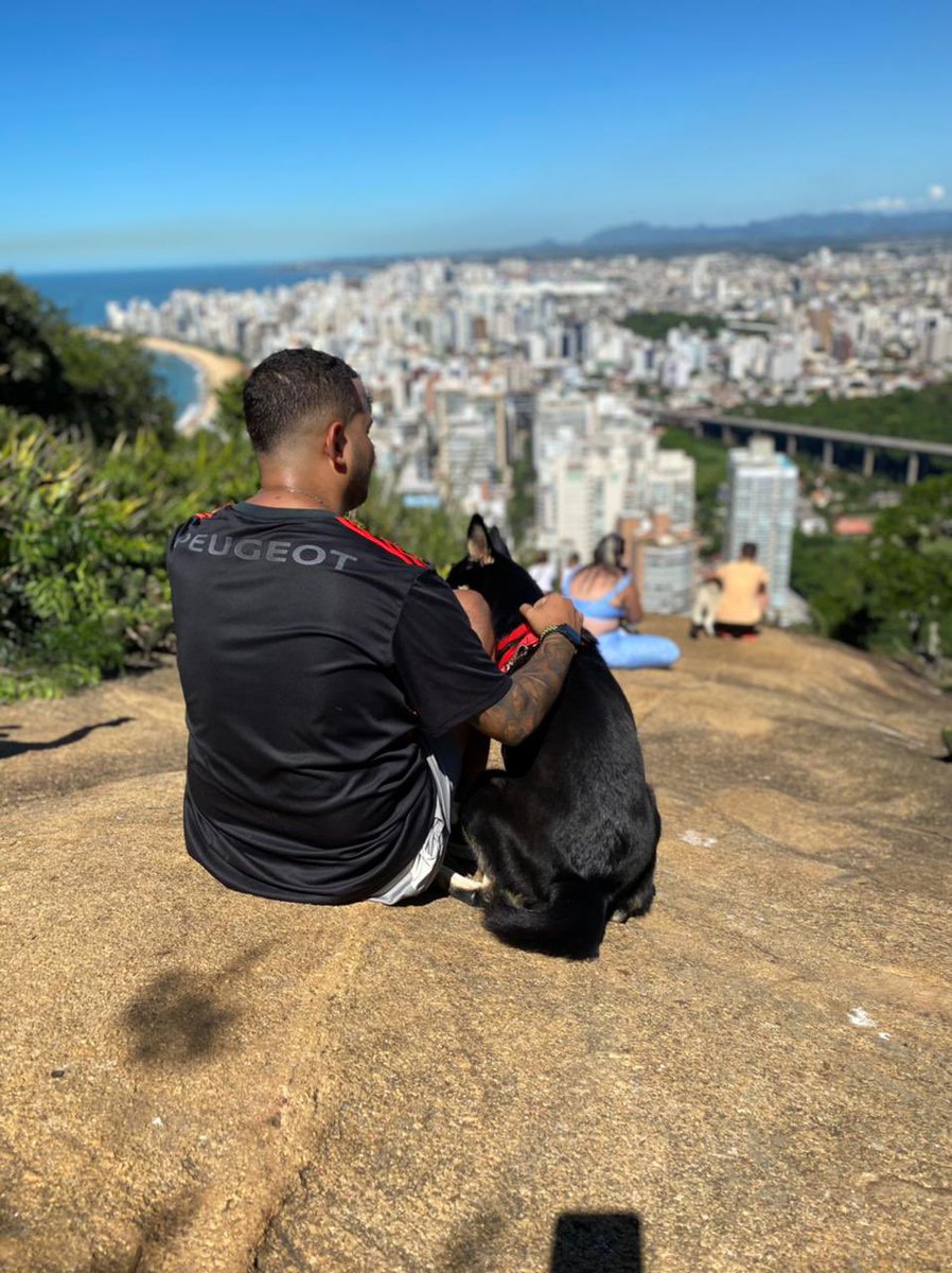 PedroShaffeln's tweet photo. Quanto mais conheço gente, mais eu amo meus cachorros!!! https://t.co/HhRvVJjFOs