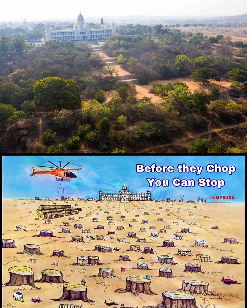 MrMrsRamachari's tweet photo. #SaveMysuru #SaveTrees  #SayNoToHelipad https://t.co/oV6hKlXFer