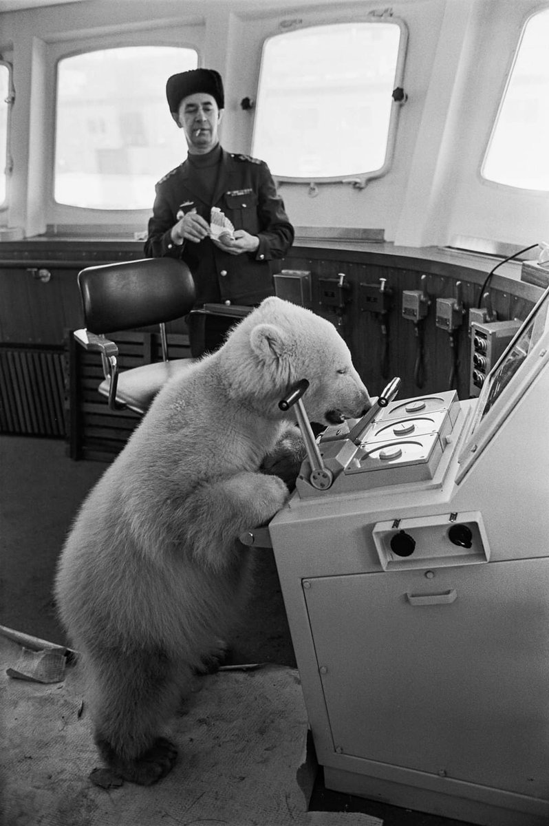 RT @Reaperfeed1: Polar bear Mishka visiting Helsinki onboard Russian icebreaker Murmansk. February, 1970. https://t.co/fW0K7qU56e