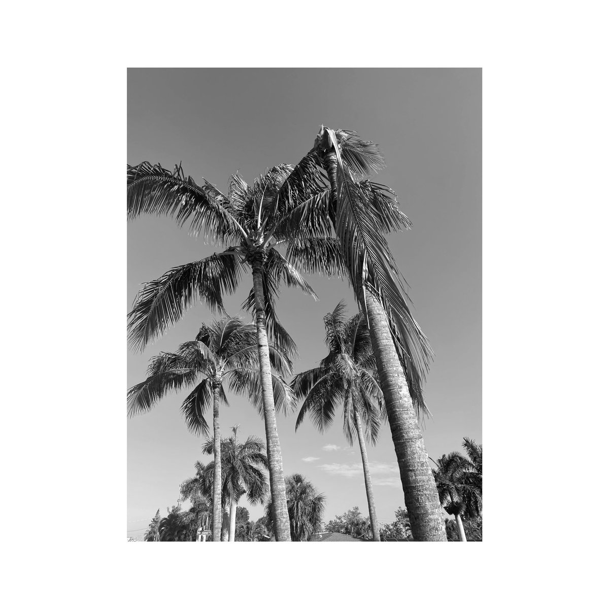 ryanminton's tweet photo. #floridatrip https://t.co/pXdghFTDQL