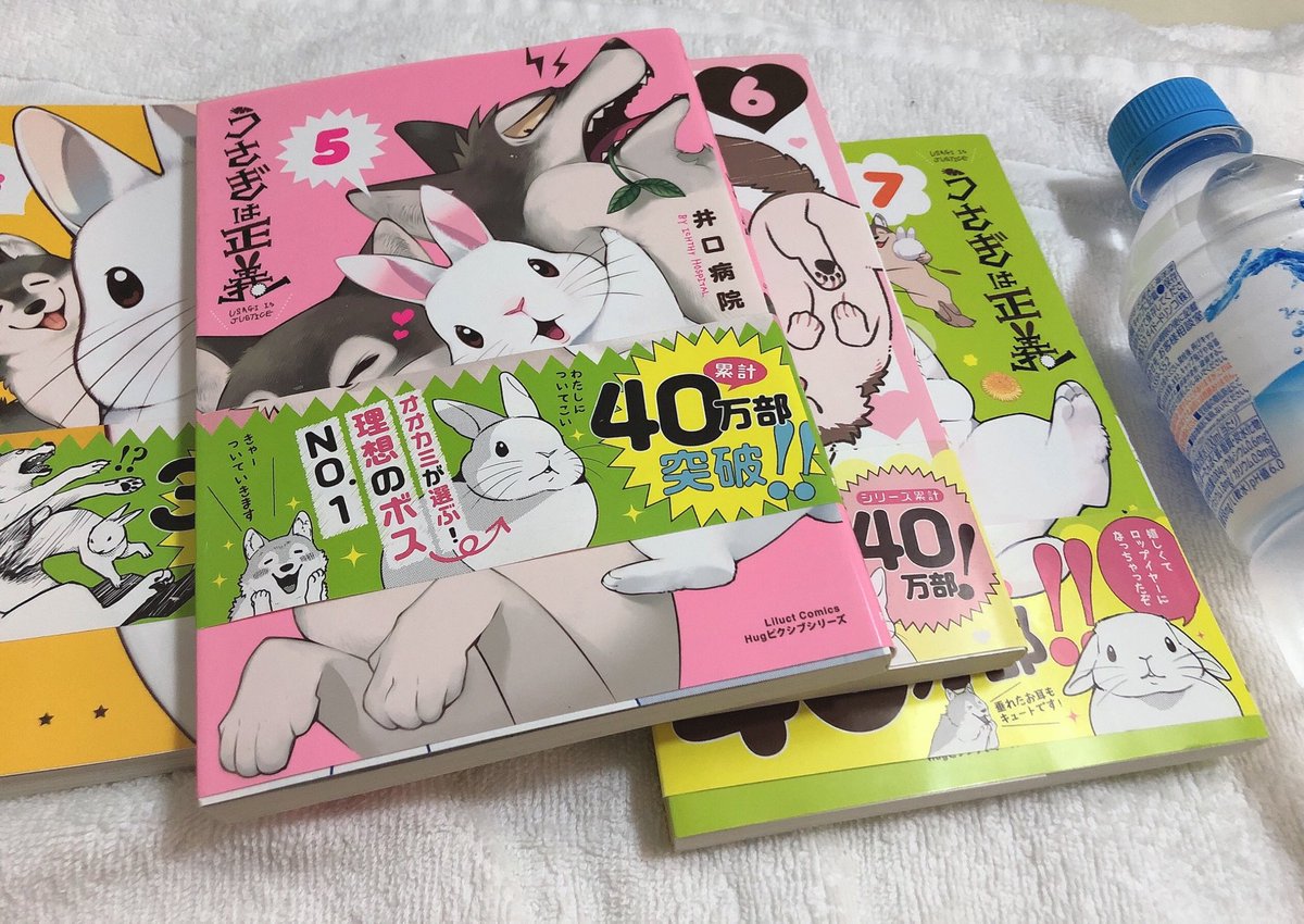 うさぎは正義 うさぎは正義