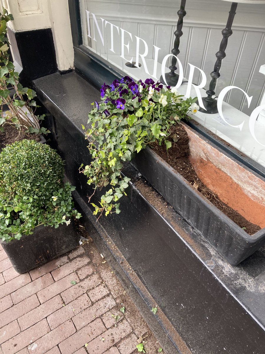 Voor de 2e nacht op rij zijn er planten uit mijn bakken gejat. Ook om de hoek zijn planten weg. Zieligerds die zoiets doen.