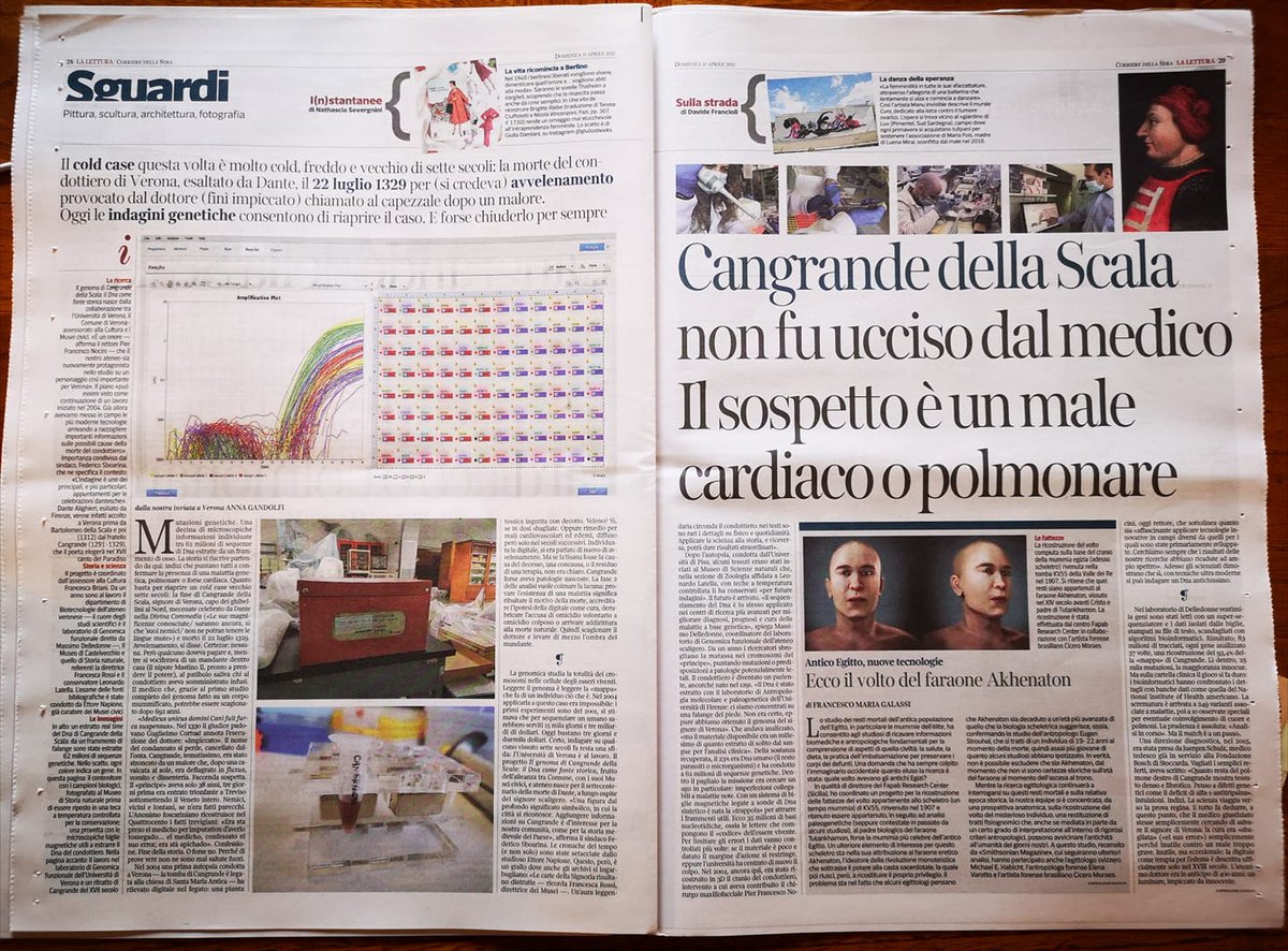 Genartis1's tweet image. @Corriere Il gruppo del Prof. Massimo Delledonne 
@mdelledon  @UniVerona fa luce sulla morte del Signore di Verona: Cangrande della Scala