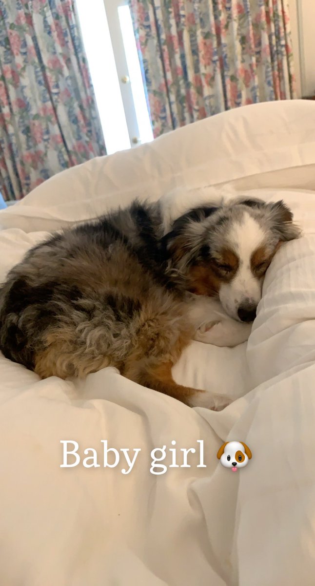 Mike DeCesare tweet media