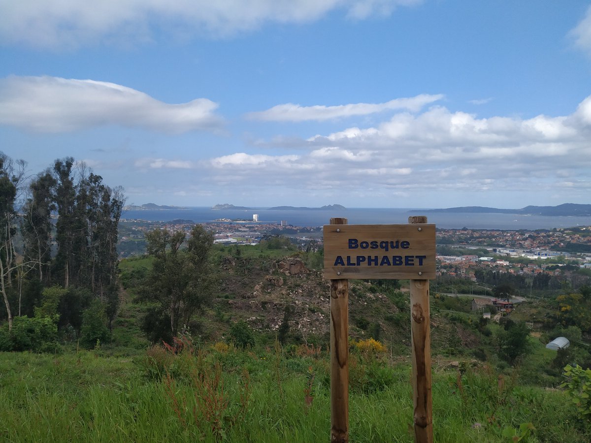 I didn't know that Google was present in the Galician forests 🤔