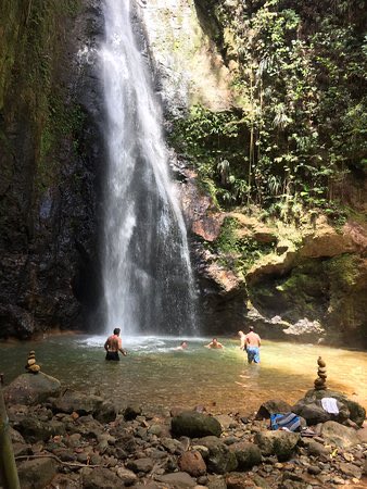 Situated in the northern center of the island it is home to attractions such as Syndicate Falls and the Northern Forest Reserve. The mountain is named after the black capped petrel which is locally known as the Diablotin due to the sound of its call.