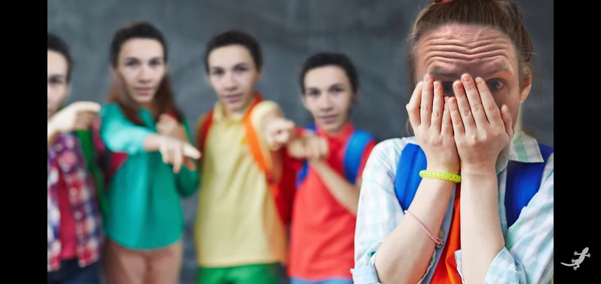 ImNotAFool3's tweet image. 