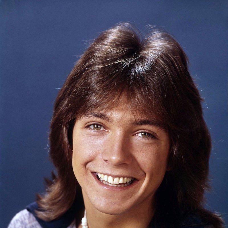 Happy Birthday  David Cassidy 