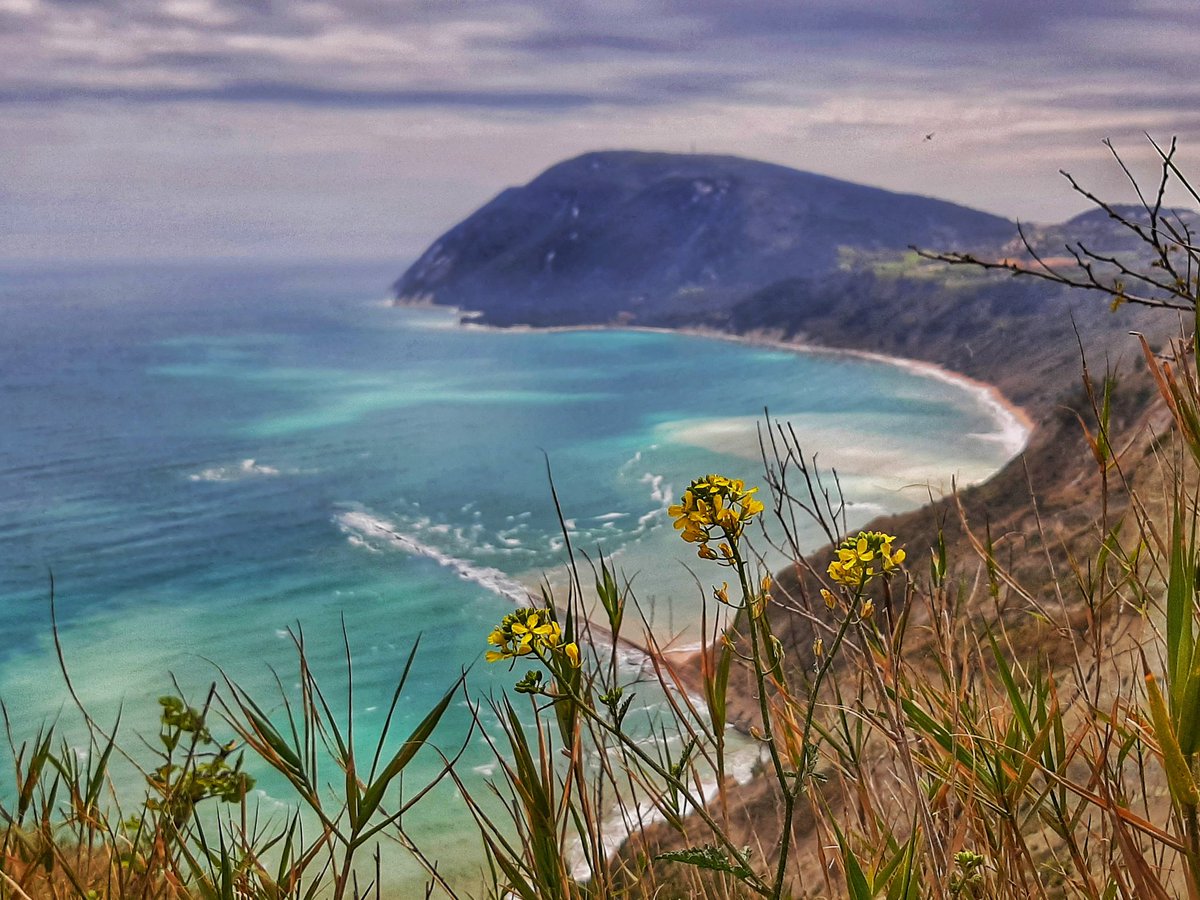 BarbaraAlfei's tweet photo. Monte dei Corvi, dove la voce del vento incontra la voce del mare...ed Γ¨ subito musica
#magicoconero #parcodelconero #destinazionemarche #GiornataNazionaledelMare #ancona https://t.co/uOXTtIrd95