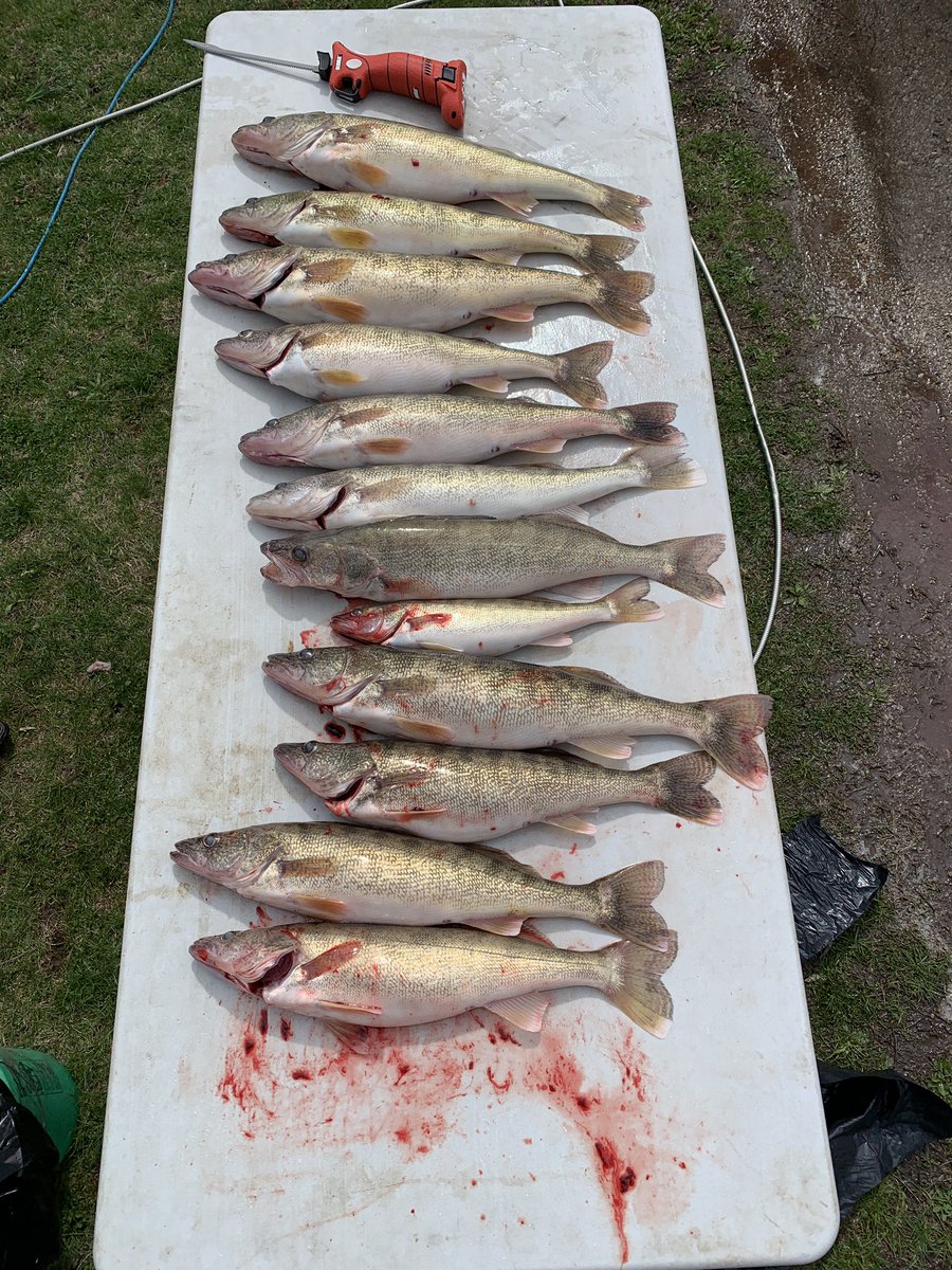 Another good day on Lake Erie #DippinNRippin #bubbaknifes #Lund