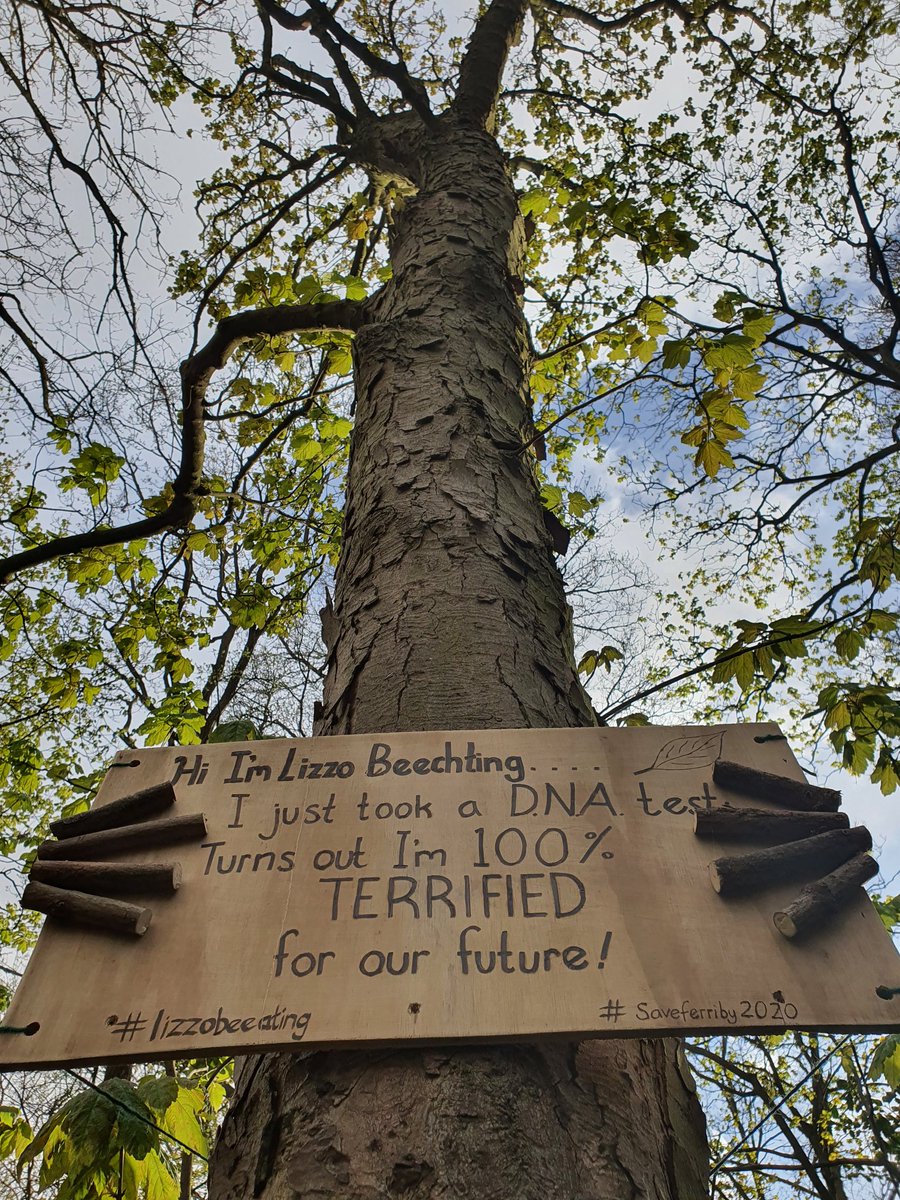 Dan66946194's tweet image. Say hello to Lizzo Beechting, the 4th member of the Ferriby tree family with a message for you to think about. #saveferriby2020 #lizzobeeating @saveferriby2020 @lizzo