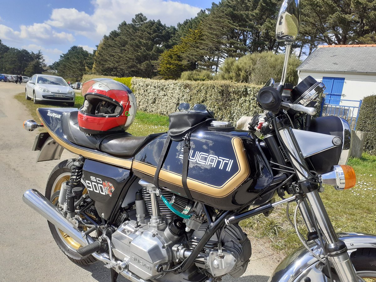 stducat tweet picture